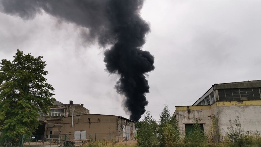 Pożar w zakładzie na terenie strefy ekonomicznej w Chmielowie [ZDJĘCIA]
