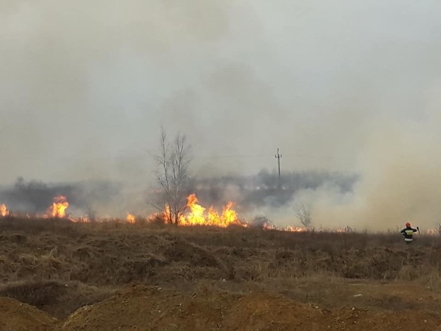 Niedzielny pożar traw w rejonie Rzeczkowa koło Wierzbicy.