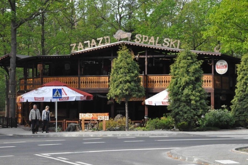 Zubr polączyl Spale i Bialowieze