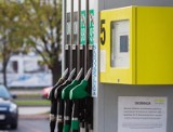 Aktualne ceny paliw na Podkarpaciu - na których stacjach najtaniej?