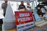 Udane Ogólnopolskie Targi Pszczelarskie "Wiosna w pasiece" w Łowiczu [ZDJĘCIA]