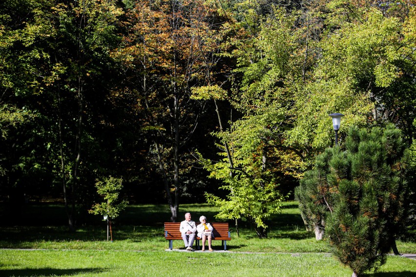 Wybieracie się na jesienny spacer? Zajrzyjcie do Parku Śląskiego w Chorzowie