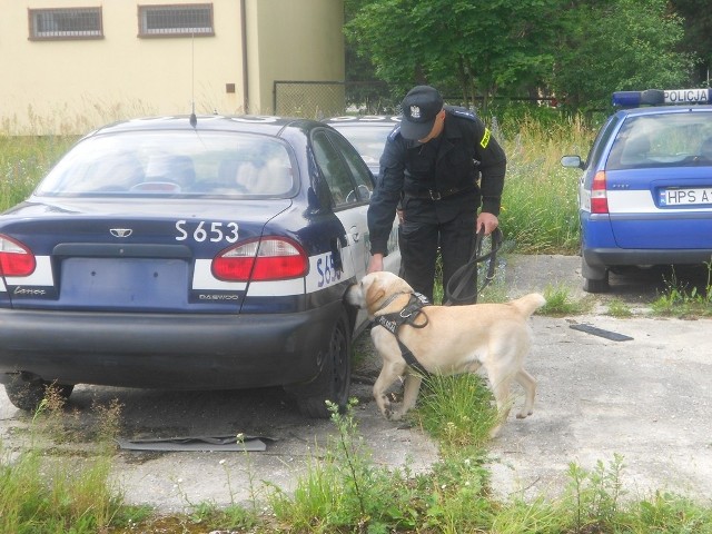 Policyjni przewodnicy i ich psy konkurowali o reprezentowanie świętokrzyskiego garnizonu.