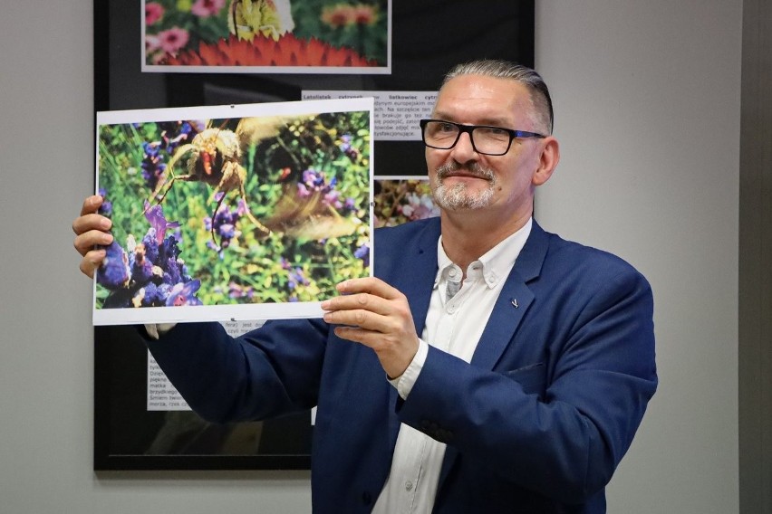 Jacek Katos i jego fotograficzna wystawa o owadach