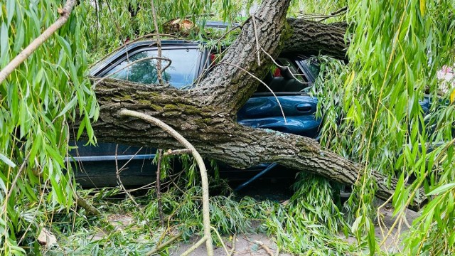 Silne podmuchy wiatru w Krakowie łamały drzewa jak zapałki. Samochody na Placu Na Stawach zostały uszkodzone. IMGW ostrzega