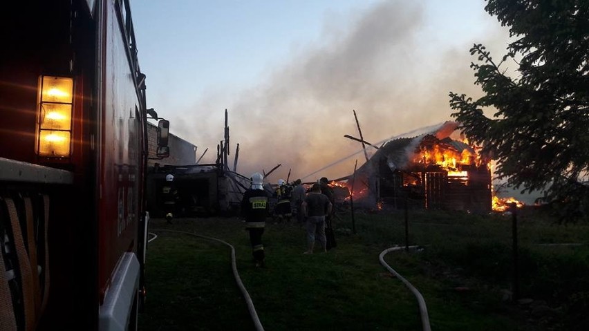 W piątek (19 maja) około godz. 20.30 Ochotnicza Straż...