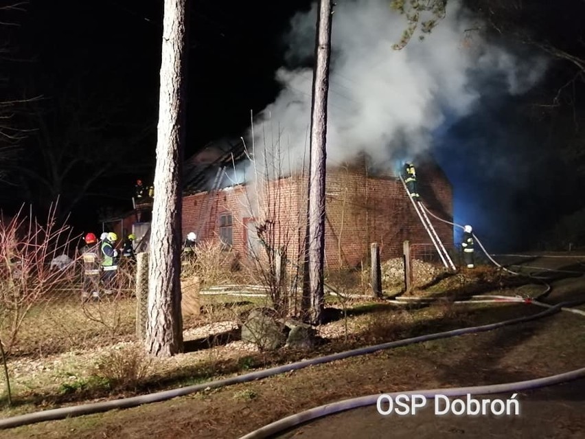 Na miejscu pracowało ok. 40 strażaków m.in. z Pabianic,...