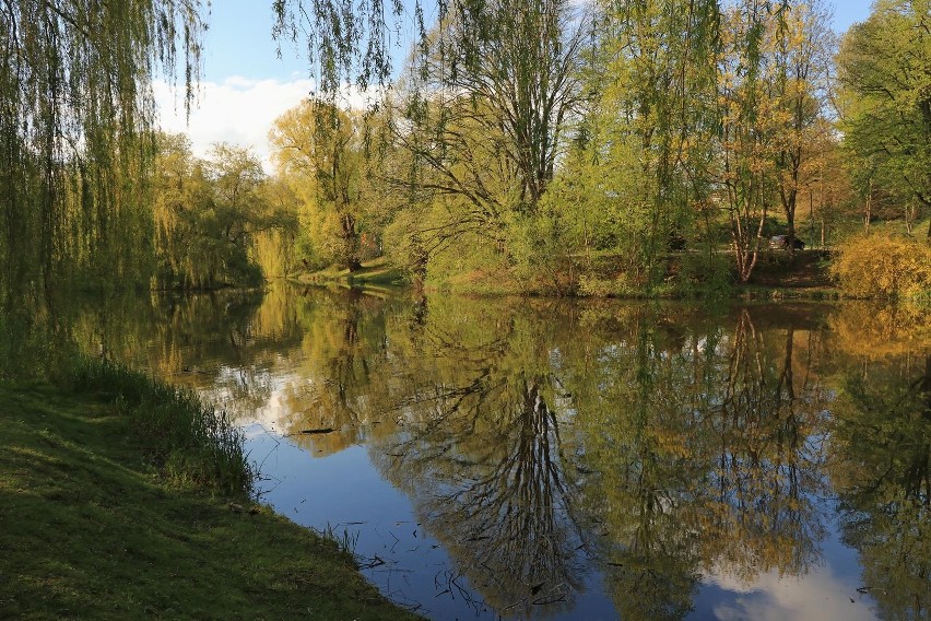 Początek majowego weekendu w koszalińskim parku [ZDJĘCIA INTERNAUTY]