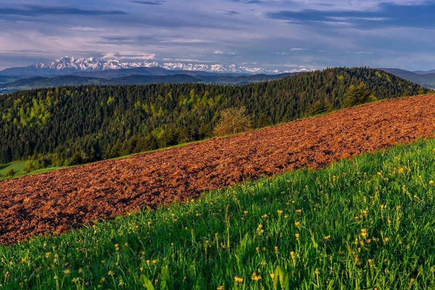 Wycieczka na weekend. Limanowskie czeka na odkrywców