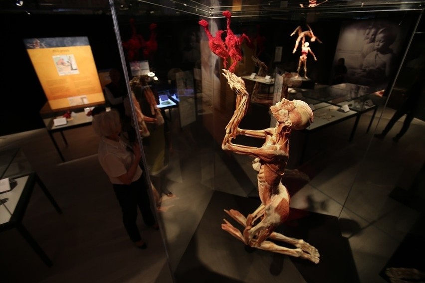 Body Worlds & The Cycle of Life będzie można oglądać we...