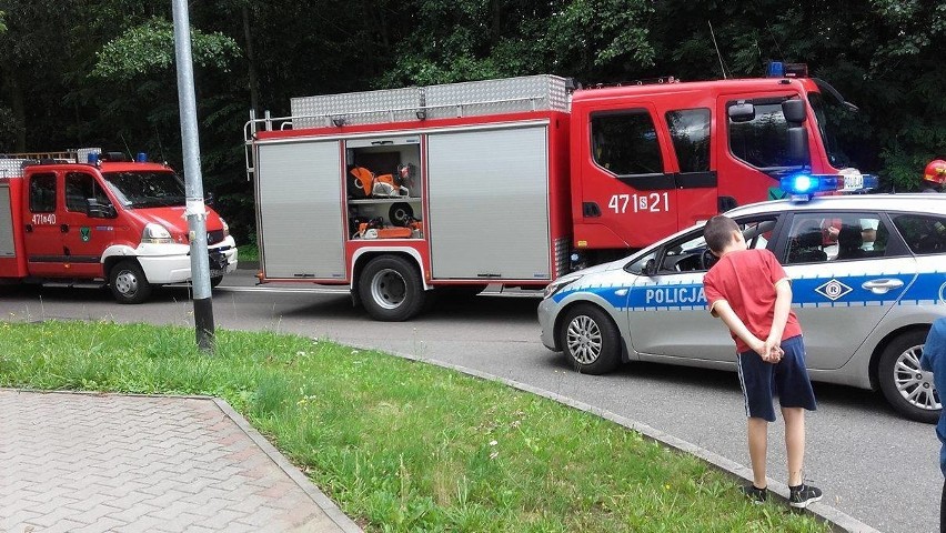 Groźny wypadek w Jastrzębiu. Motorowerzysta trafił do...