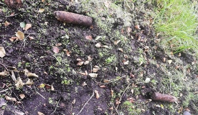 Niewybuchy z czasów II wojny światowej zostały znalezione w w miejscowości Zabartowo w gminie Więcbork. Grzybiarz, który się na nie natknął, natychmiast zawiadomił policję