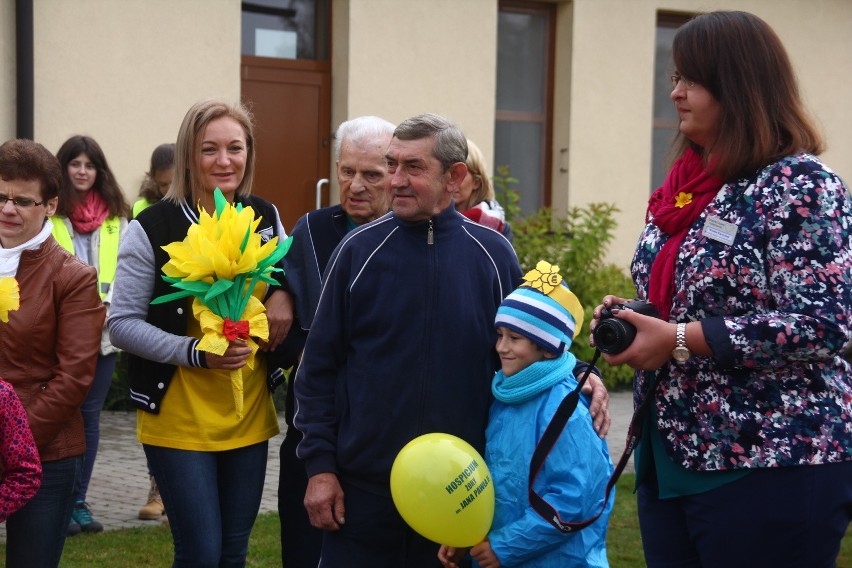 W Żorach zasadzili prawie 1000 żonkili, tworząc "Pole Nadziei" przy hospicjum