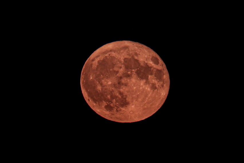 Truskawkowy Księżyc nad Lubuskiem. Superpełnia widziana z Zielonej Góry. To niezwykłe i bardzo rzadkie zjawisko. Mamy zdjęcia!