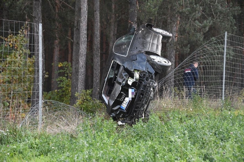 Wypadek w Cedzynie na drodze krajowe numer 74. Po "skoku" przez rondo audi wylądowało na drzewie [ZDJĘCIA]