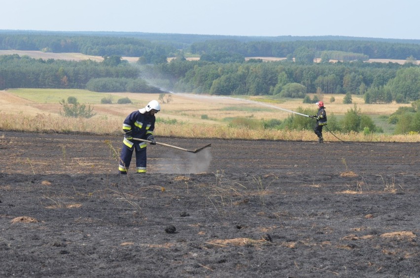 Pożar ścierniska w Truskolasach. Paliło się 20 arów ścierniska oraz suchej trawy! [ZDJĘCIA]