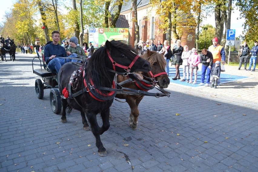 Brok. Pokaz zaprzęgów konnych, 12.10.2019. Przed ratuszem zaprezentowały się piękne konie i pojazdy zaprzęgowe. Zobaczcie zdjęcia