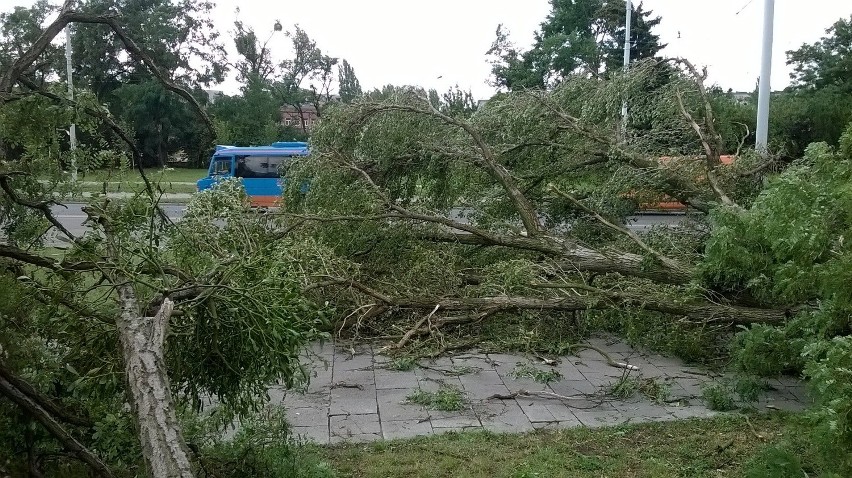 Skutki nocnej nawałnicy we Wrocławiu