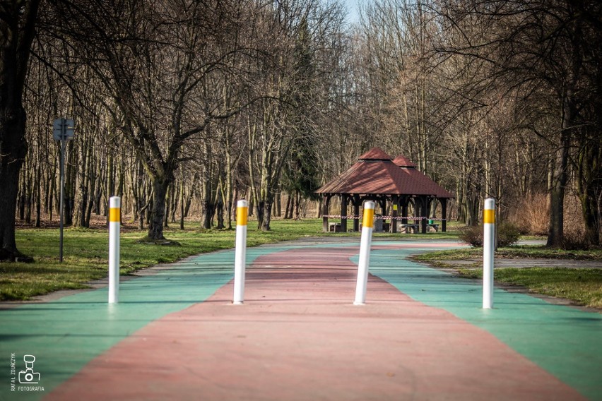 Park Śląski niemal opustoszał po informacji o stanie...