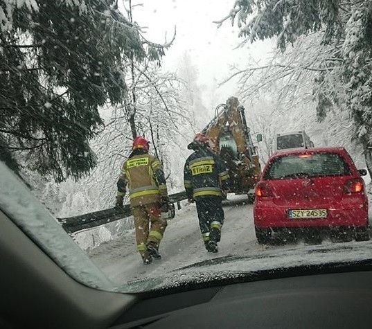 Kocierz. Drzewo spadło na drogę. Zwaliło się pod ciężarem śniegu?