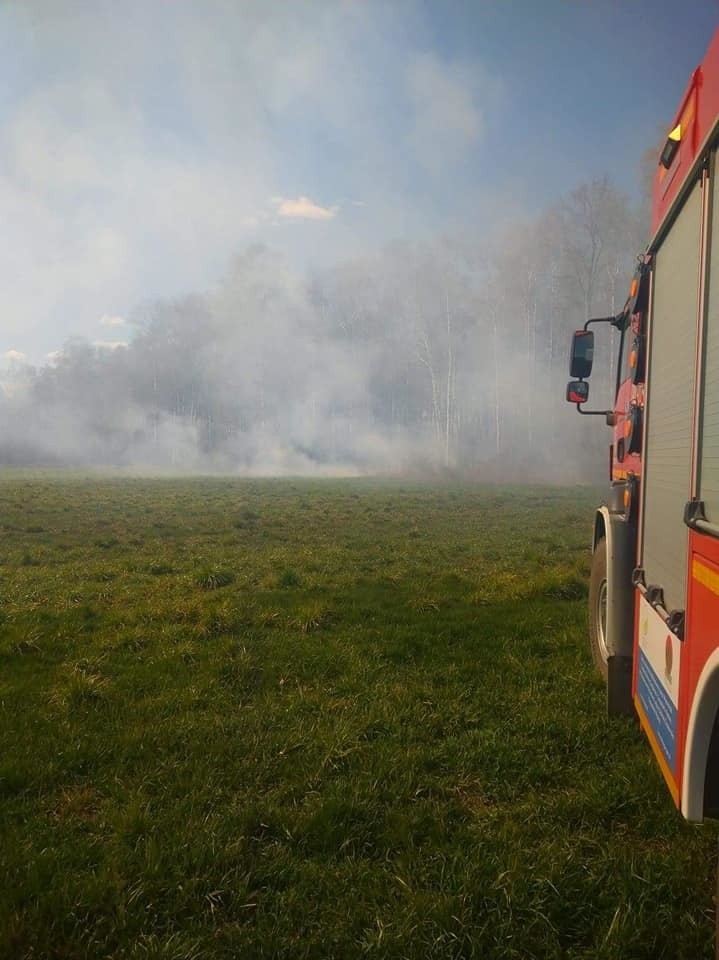 Pożary traw w gminach Troszyn, Czerwin i Goworowo w powiecie ostrołęckim. 22.04.2020. Zdjęcia