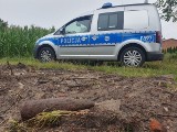 Niewybuch pod Pabianicami. Odkryty podczas rozbiórki budynku. Był to niemiecki pocisk artyleryjski. Zabrał go patrol saperów