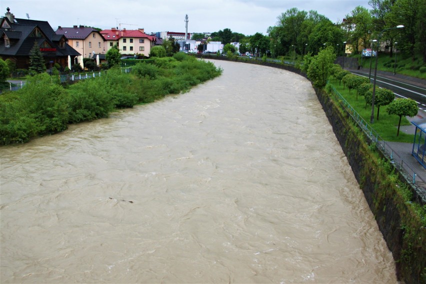 Nowy Sącz. Rzeka Kamienica przekroczyła stan ostrzegawczy. Zdjęcia z centrum miasta