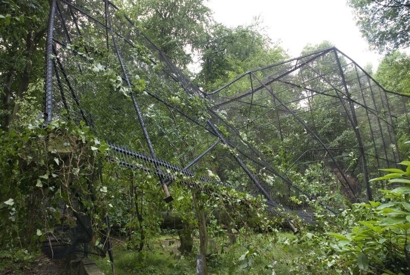 Kraków. Duże zniszczenia w zoo po nawałnicy. Uciekły dwa ptaki [ZDJĘCIA, WIDEO]