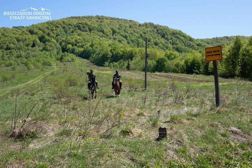 Bieszczady to jedynie miejsce w Polsce, w którym konie...