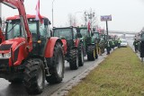 Protest rolników na Dolnym Śląsku. Drogi blokowały setki ciągników. Ogromne utrudnienia dla kierowców pod Wrocławiem. Zobaczcie zdjęcia