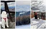Białowodzka Góra zimą zachwyca. Tutaj nie spotkacie tłumów turystów