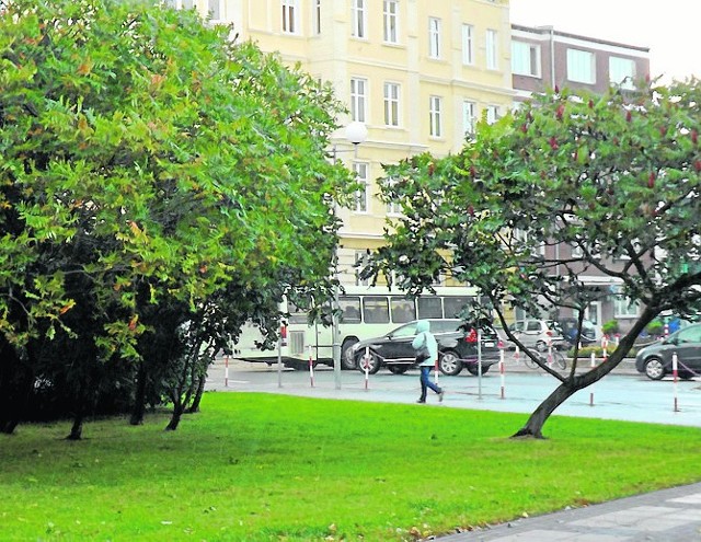Sierpniowe ustalenia dotyczyły lokalizacji pomnika mniej więcej w tym miejscu, u zbiegu ulic Sybiraków i Walki Młodych