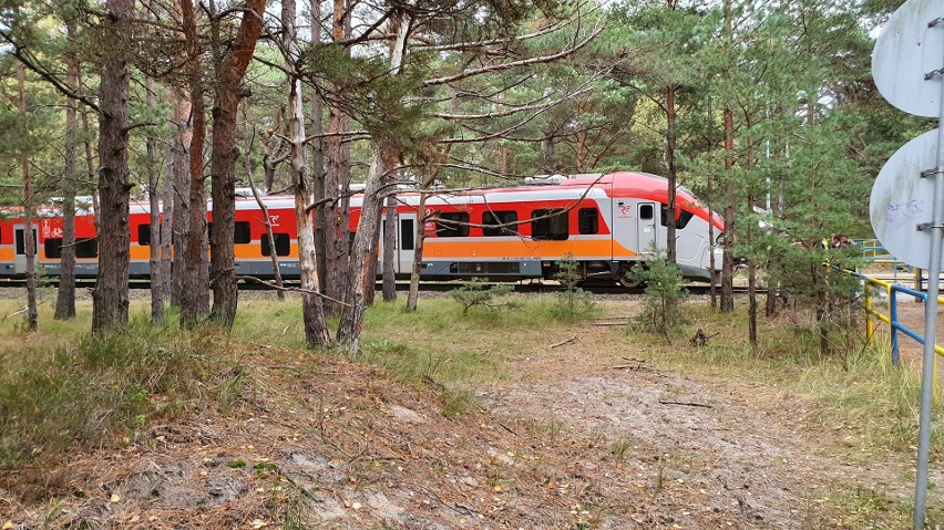Tragiczny wypadek na torach na Półwyspie Helskim (19.10.2019). Pod kołami pociągu zginął 41-letni mężczyzna