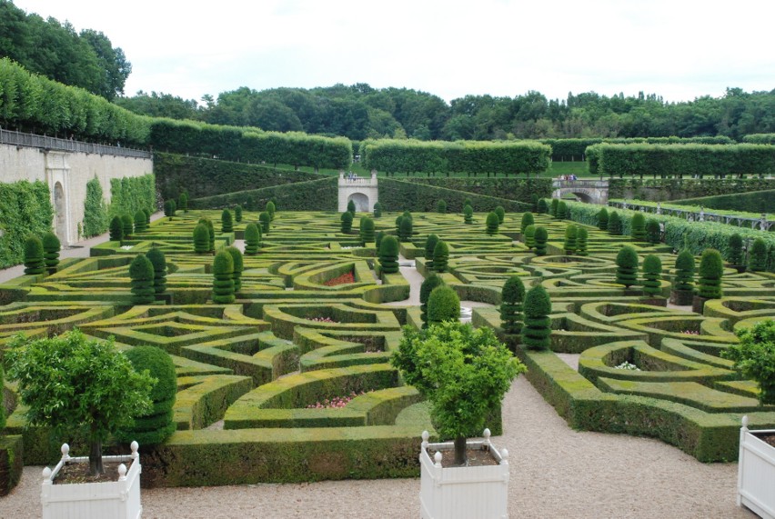Zobacz, jak wygląda najpiękniejszy pałac i ogród Doliny Loary w najładniejszym regionie Francji