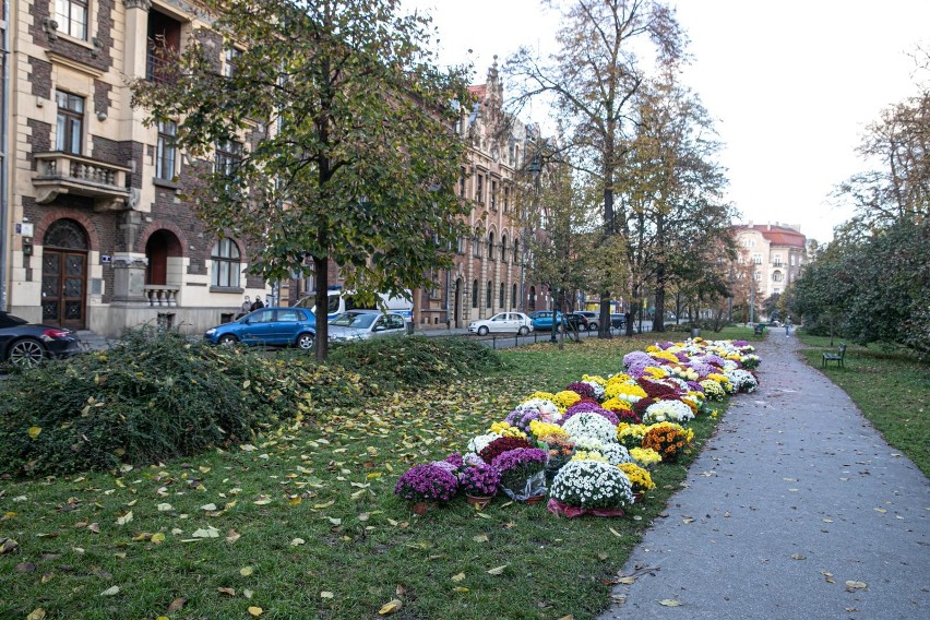 Skwer przed krakowską siedzibą PiS często jest miejscem...