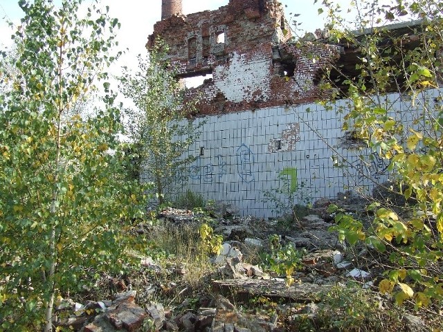 Sprawa Tormięsu wraca do toruńskiego sądu