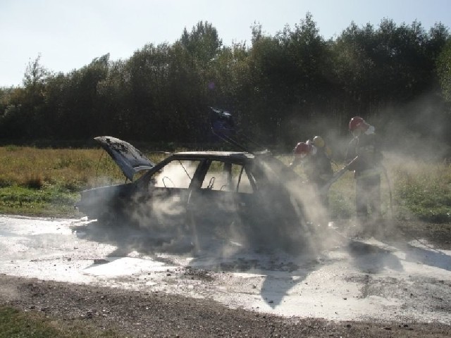 Osobowy samochód, który w czwartek spłonął w Rytwianach w powiecie staszowskim.
