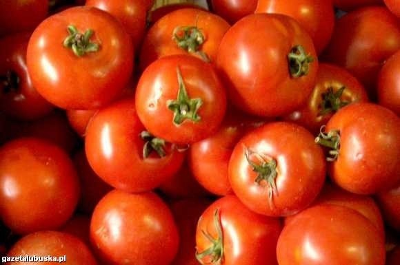 (fot. Paweł Janczaruk) Zmodyfikowane genetycznie pomidory lepiej znoszą transport.