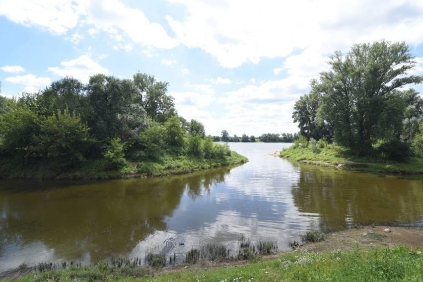 Zatoka nad Wisłą...