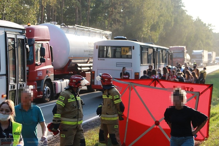 Wypadek pod Włocławkiem. Jeleń wpadł w autokar przewożący...