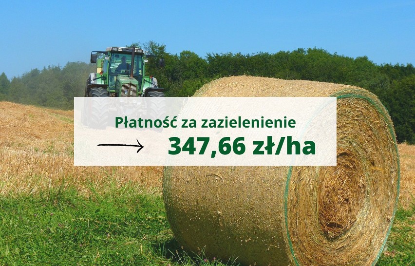 Rok temu płatność za zazielenienie wynosiła 327,26 zł/ha