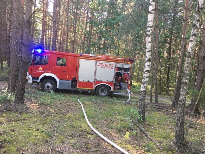 Nowiny Kasjerskie. Pożar lasu gasili strażacy z OSP Knyszyn (zdjęcia)