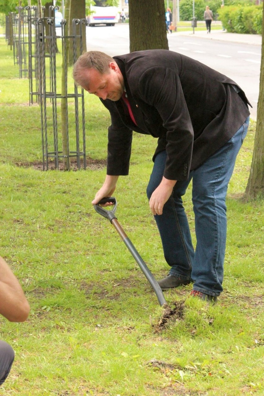 Kilkadziesiąt minut po uroczystościach w Alejach...