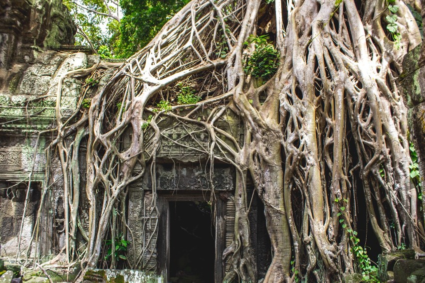 Rozległy kompleks świątynny Angkor Wat w północnej Kambodży...