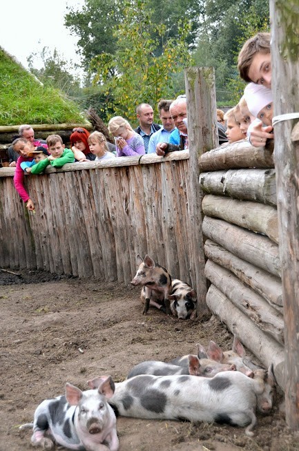 Spotkaj się z łowcami, zbieraczami i wojownikami. Dawne życie do zobaczenia i posmakowania