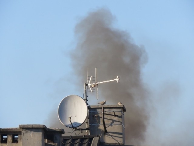 Dym nad jednym z budynków w powiecie wadowickim. Smog jest tu dużym problem