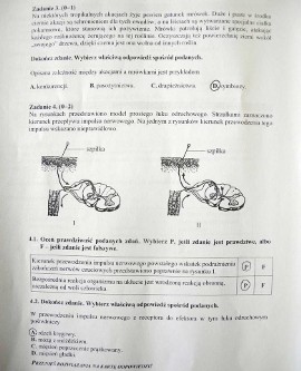 Egzamin gimnazjalny 2016. ODPOWIEDZI - PRZYRODA [ARKUSZE, PYTANIA] | Portal  i.pl