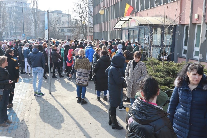 Łódź: Gigantyczna kolejka Ukraińców po PESEL i tylko 9 pracowników do obsługi. ZDJĘCIA