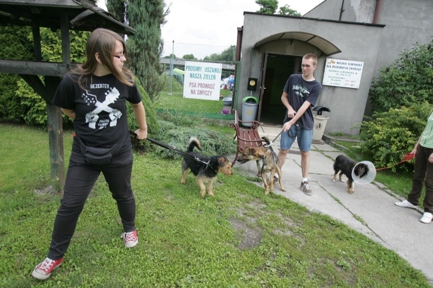 Schronisko dla zwierząt w Katowicach poszukuje wolontariuszy [ZDJĘCIA]