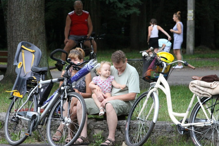 Tak dziś wygląda park Zielona w Dąbrowie Górniczej